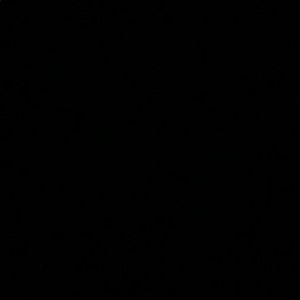 Meet your Posher, Jenika